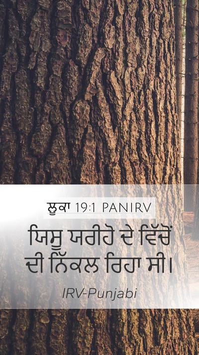 ਲੂਕਾ 19:1 PANIRV Mobile Phone Wallpaper - ਯਿਸੂ ਯਰੀਹੋ ਦੇ - Mobile Bible Verse Wallpaper