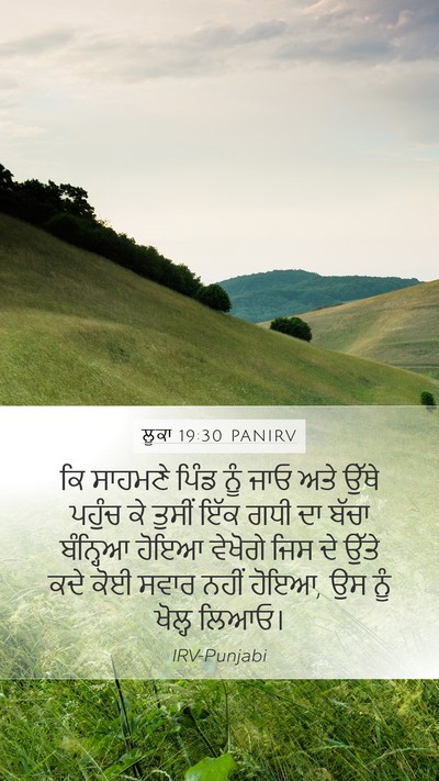 ਲੂਕਾ 19:30 PANIRV Bible Verse Image
