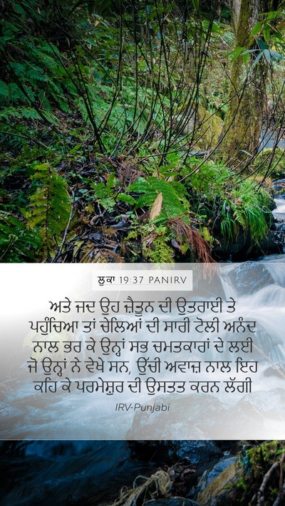 ਲੂਕਾ 19:37 PANIRV Bible Verse Image