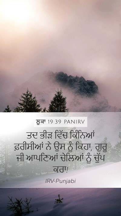 ਲੂਕਾ 19:39 PANIRV Bible Verse Image