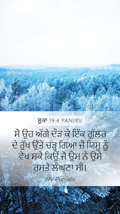 ਲੂਕਾ 19:4 PANIRV Mobile Phone Wallpaper - ਸੋ ਉਹ ਅੱਗੇ ਦੌੜ ਕੇ - Mobile Bible Verse Wallpaper