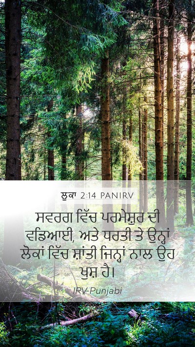 ਲੂਕਾ 2:14 PANIRV Bible Verse Image