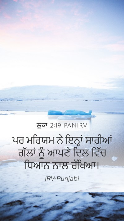 ਲੂਕਾ 2:19 PANIRV Bible Verse Image