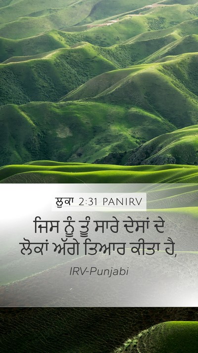 ਲੂਕਾ 2:31 PANIRV Bible Verse Image