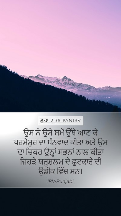 ਲੂਕਾ 2:38 PANIRV Bible Verse Image