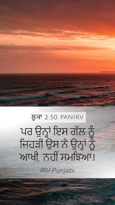 ਲੂਕਾ 2:50 PANIRV Bible Verse Image