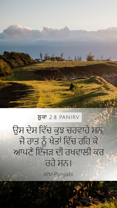 ਲੂਕਾ 2:8 PANIRV Mobile Phone Wallpaper - ਉਸ ਦੇਸ ਵਿੱਚ ਕੁਝ - Mobile Bible Verse Wallpaper