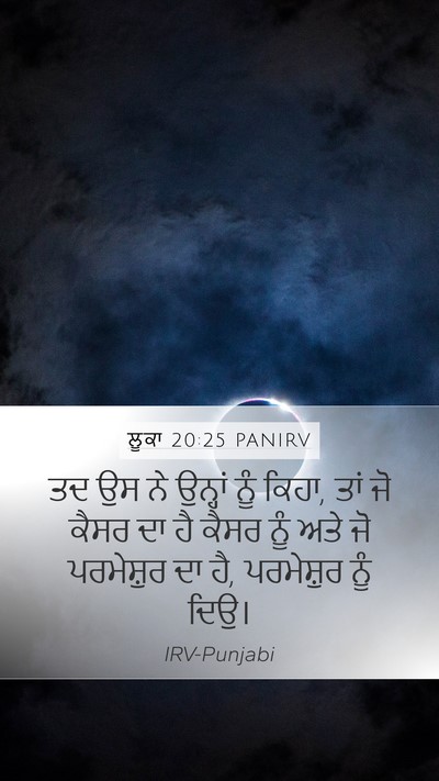 ਲੂਕਾ 20:25 PANIRV Bible Verse Image