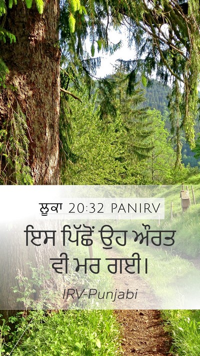 ਲੂਕਾ 20:32 PANIRV Mobile Phone Wallpaper - ਇਸ ਪਿੱਛੋਂ ਉਹ ਔਰਤ ਵੀ - Mobile Bible Verse Wallpaper