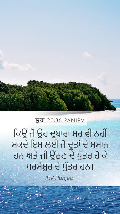 ਲੂਕਾ 20:36 PANIRV Mobile Phone Wallpaper - ਕਿਉਂ ਜੋ ਉਹ ਦੁਬਾਰਾ - Mobile Bible Verse Wallpaper