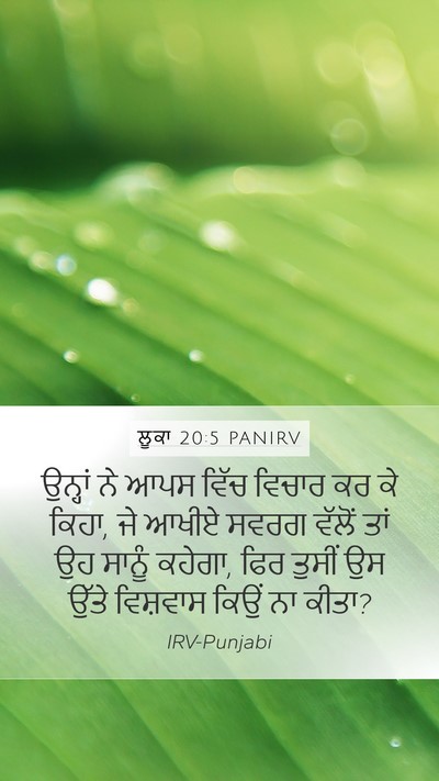 ਲੂਕਾ 20:5 PANIRV Mobile Phone Wallpaper - ਉਨ੍ਹਾਂ ਨੇ ਆਪਸ ਵਿੱਚ - Mobile Bible Verse Wallpaper