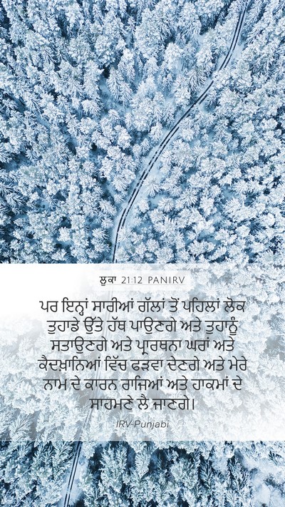 ਲੂਕਾ 21:12 PANIRV Bible Verse Image