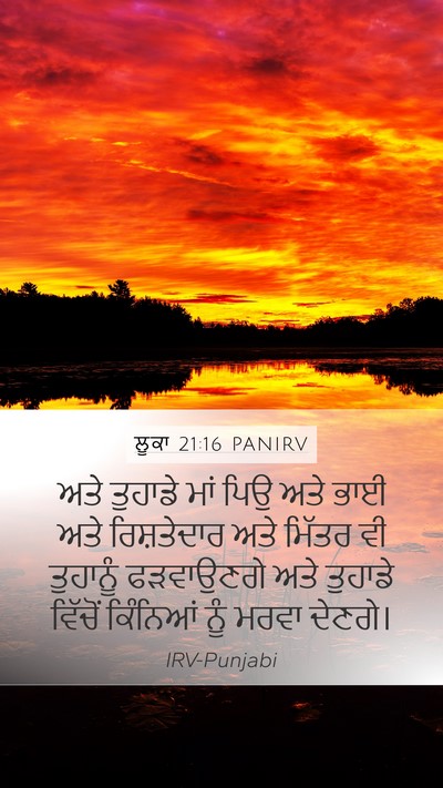 ਲੂਕਾ 21:16 PANIRV Bible Verse Image