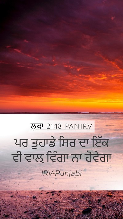 ਲੂਕਾ 21:18 PANIRV Bible Verse Image