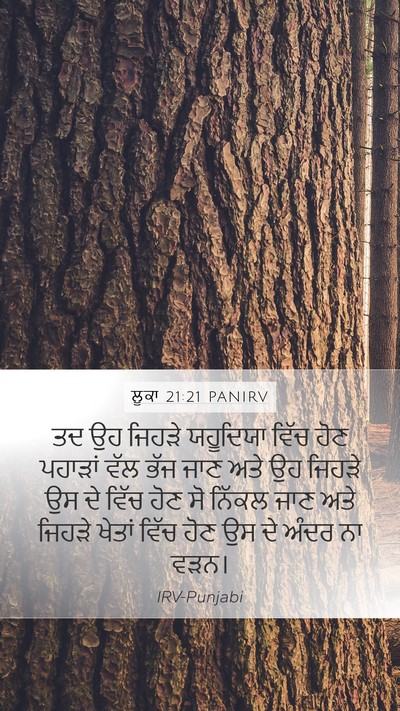 ਲੂਕਾ 21:21 PANIRV Bible Verse Image