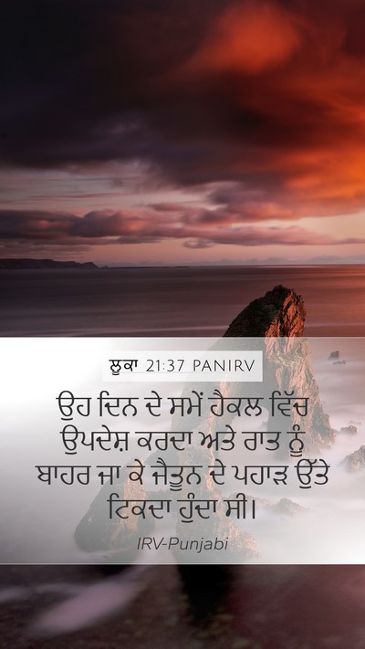 ਲੂਕਾ 21:37 PANIRV Bible Verse Image