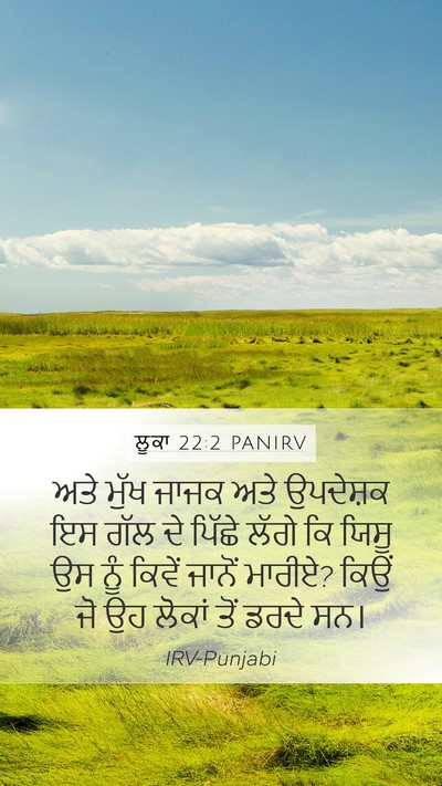 ਲੂਕਾ 22:2 PANIRV Mobile Phone Wallpaper - ਅਤੇ ਮੁੱਖ ਜਾਜਕ ਅਤੇ - Mobile Bible Verse Wallpaper
