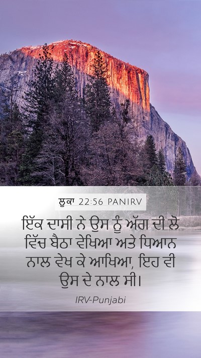 ਲੂਕਾ 22:56 PANIRV Bible Verse Image