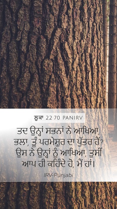 ਲੂਕਾ 22:70 PANIRV Bible Verse Image