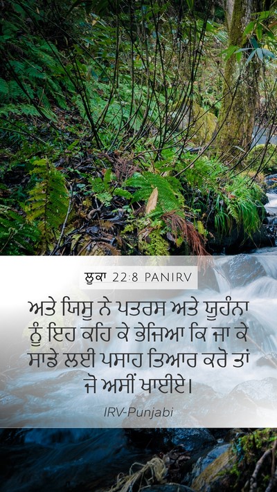 ਲੂਕਾ 22:8 PANIRV Mobile Phone Wallpaper - ਅਤੇ ਯਿਸੂ ਨੇ ਪਤਰਸ - Mobile Bible Verse Wallpaper