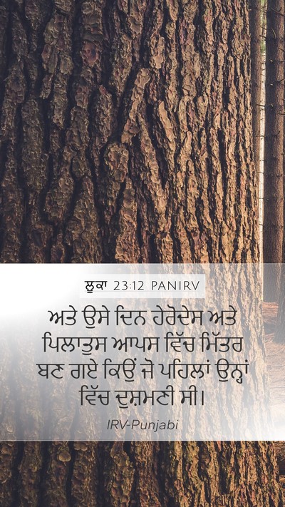 ਲੂਕਾ 23:12 PANIRV Mobile Phone Wallpaper - ਅਤੇ ਉਸੇ ਦਿਨ - Mobile Bible Verse Wallpaper