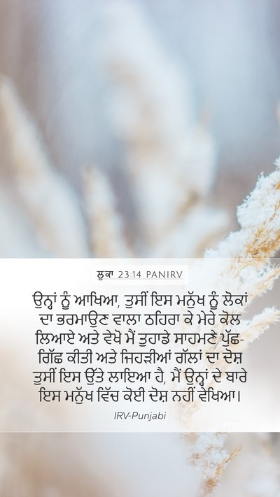 ਲੂਕਾ 23:14 PANIRV Bible Verse Image