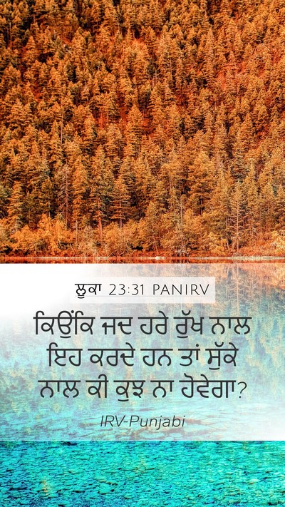 ਲੂਕਾ 23:31 PANIRV Bible Verse Image