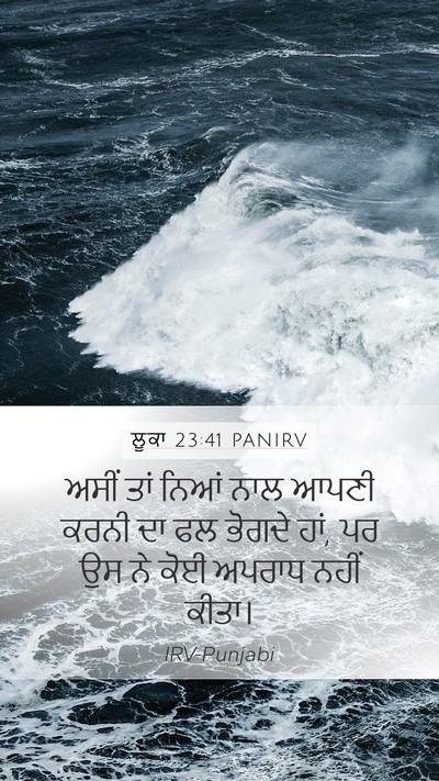 ਲੂਕਾ 23:41 PANIRV Bible Verse Image