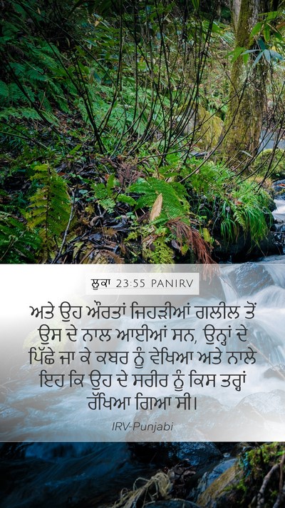 ਲੂਕਾ 23:55 PANIRV Bible Verse Image