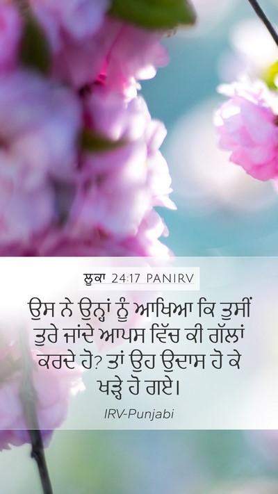 ਲੂਕਾ 24:17 PANIRV Mobile Phone Wallpaper - ਉਸ ਨੇ ਉਨ੍ਹਾਂ ਨੂੰ - Mobile Bible Verse Wallpaper