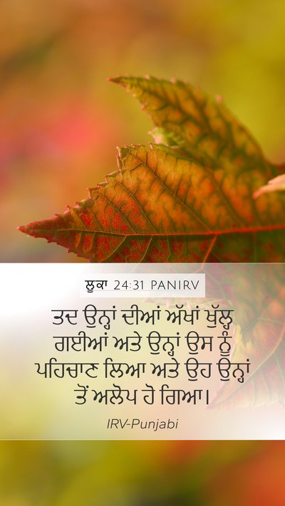 ਲੂਕਾ 24:31 PANIRV Bible Verse Image