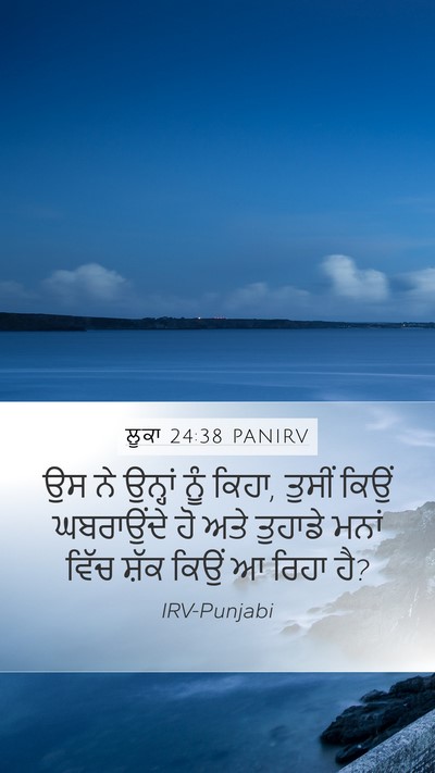 ਲੂਕਾ 24:38 PANIRV Bible Verse Image