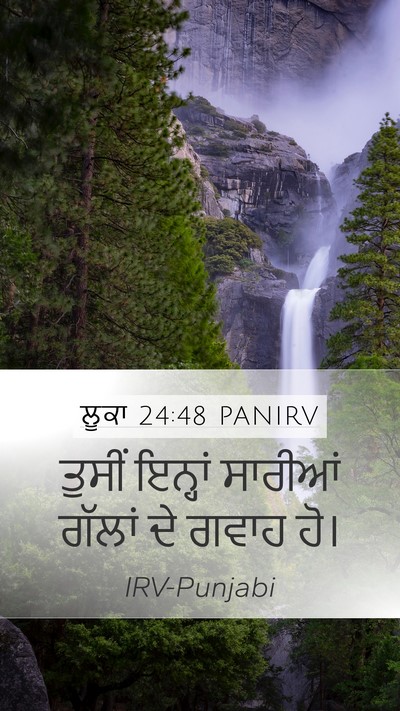 ਲੂਕਾ 24:48 PANIRV Bible Verse Image