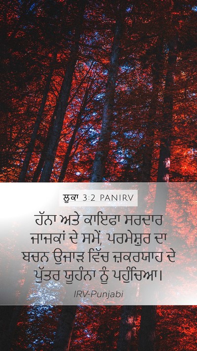 ਲੂਕਾ 3:2 PANIRV Bible Verse Image