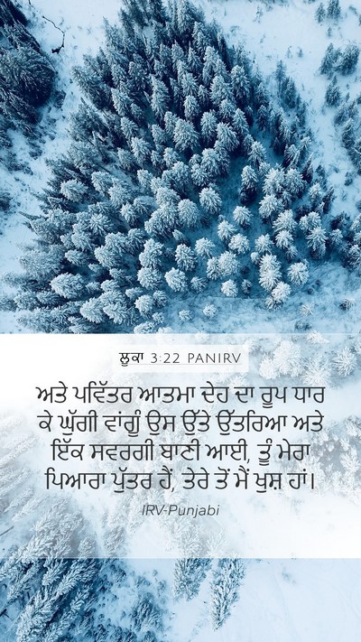 ਲੂਕਾ 3:22 PANIRV Bible Verse Image