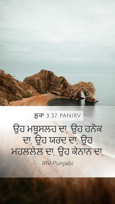 ਲੂਕਾ 3:37 PANIRV Mobile Phone Wallpaper - ਉਹ ਮਥੂਸਲਹ ਦਾ, ਉਹ - Mobile Bible Verse Wallpaper