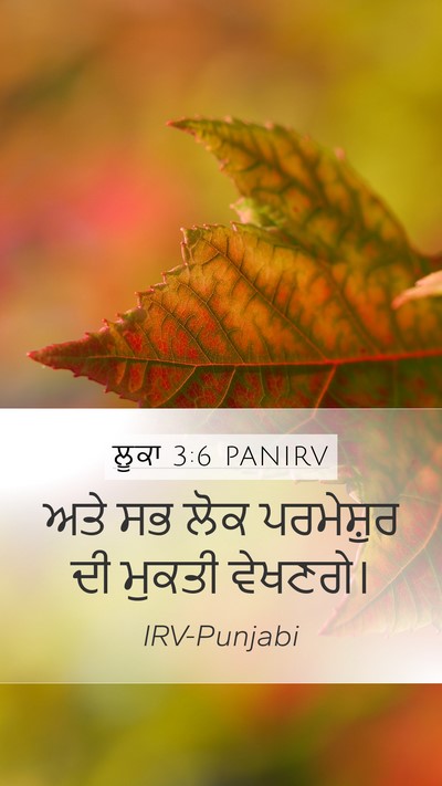 ਲੂਕਾ 3:6 PANIRV Bible Verse Image