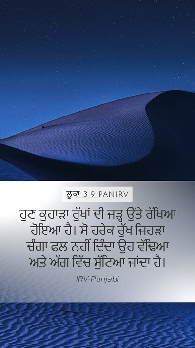 ਲੂਕਾ 3:9 PANIRV Bible Verse Image