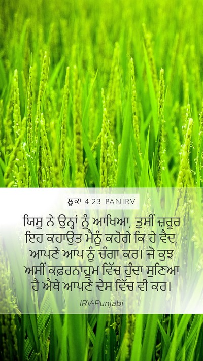 ਲੂਕਾ 4:23 PANIRV Bible Verse Image