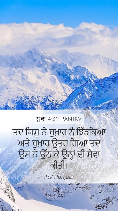 ਲੂਕਾ 4:39 PANIRV Bible Verse Image