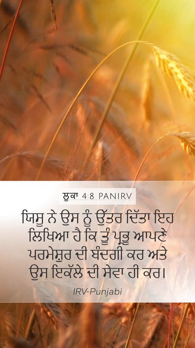 ਲੂਕਾ 4:8 PANIRV Bible Verse Image