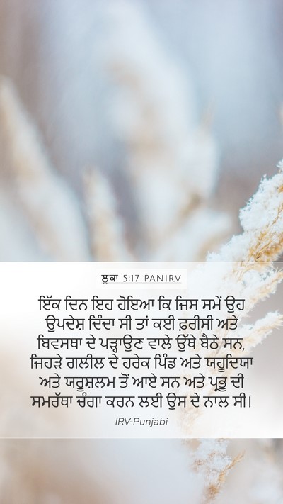 ਲੂਕਾ 5:17 PANIRV Bible Verse Image
