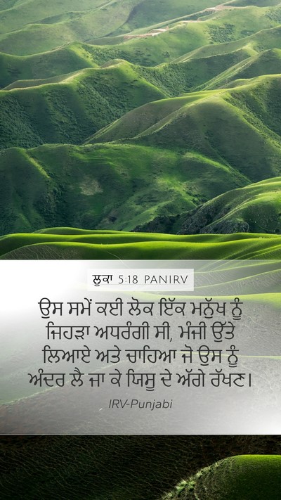 ਲੂਕਾ 5:18 PANIRV Bible Verse Image