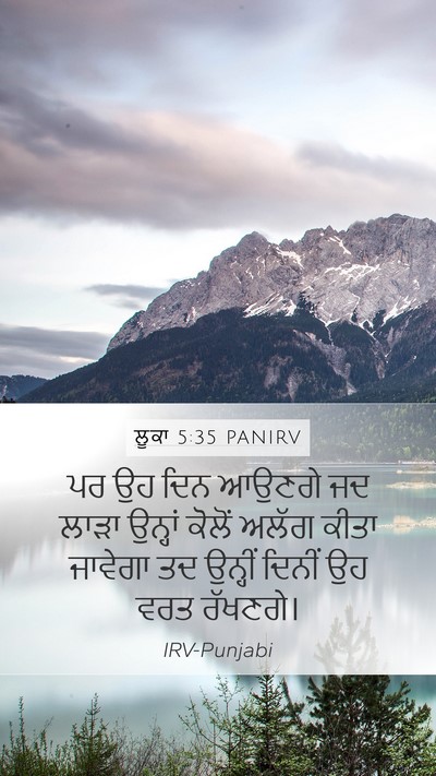 ਲੂਕਾ 5:35 PANIRV Bible Verse Image