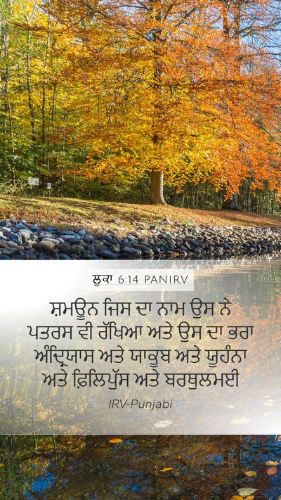 ਲੂਕਾ 6:14 PANIRV Bible Verse Image