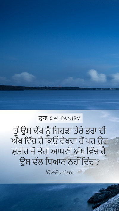 ਲੂਕਾ 6:41 PANIRV Bible Verse Image
