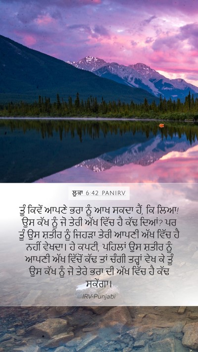 ਲੂਕਾ 6:42 PANIRV Bible Verse Image
