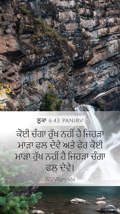 ਲੂਕਾ 6:43 PANIRV Bible Verse Image