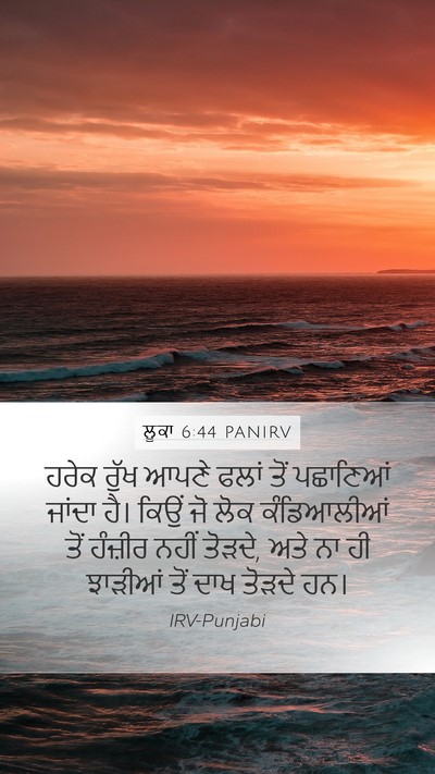 ਲੂਕਾ 6:44 PANIRV Bible Verse Image
