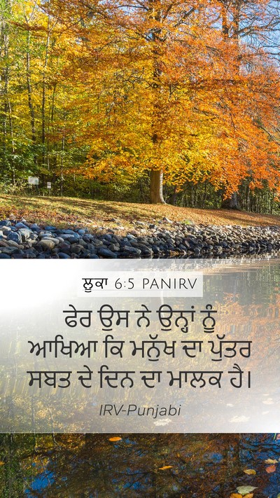 ਲੂਕਾ 6:5 PANIRV Mobile Phone Wallpaper - ਫੇਰ ਉਸ ਨੇ ਉਨ੍ਹਾਂ - Mobile Bible Verse Wallpaper